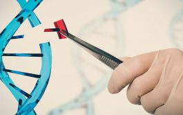 28/10/2025 – En una nueva emisión de «Por la Vida» se abordó el tema de la edición genética humana,…