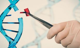 28/10/2025 – En una nueva emisión de «Por la Vida» se abordó el tema de la edición genética humana,…