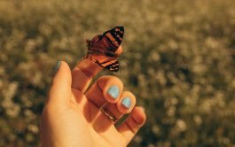 11/11/2025 - En un nuevo "Reflexiones para la Semana" nos acompañó la hermana Mónica Cordero, desde la…