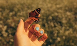 11/11/2025 - En un nuevo "Reflexiones para la Semana" nos acompañó la hermana Mónica Cordero, desde la…