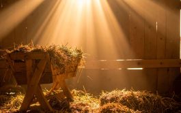 09/12/2025 - En un nuevo "Reflexiones para la Semana" nos acompañó María Cristina Martínez, coordinadora nacional de…