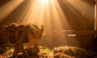 09/12/2025 - En un nuevo "Reflexiones para la Semana" nos acompañó María Cristina Martínez, coordinadora nacional de…