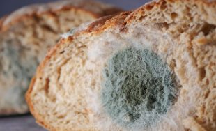 19/02/2026 – El bioquímico y profesor universitario Fernando Manera disertó sobre la presencia de químicos en el&hellip;