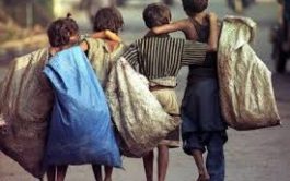 10/04/2026 - Cada 12 de abril, el mundo observa el Día Internacional de los Niños de la&hellip;