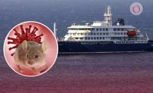 06/05/2026 - La confirmación de la cepa Andes del hantavirus en pasajeros de un crucero en Sudáfrica&hellip;