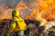 02/06/2026 - Cada 2 de junio, Argentina celebra el Día del Bombero Voluntario, una fecha que recuerda la creación del primer cuartel del&hellip;