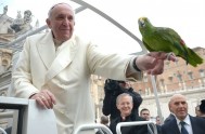 18/06/2015 – Hoy ha sido presentada la Encíclica de Papa Francisco “Laudato Si” (Alabado Seas) sobre el cuidado de la creación. En este…