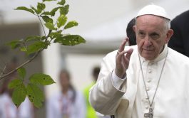 01/01/2019 –  Compartimos el mensaje del Santo Padre con motivo de la celebración de la 52ª Jornada Mundial de la&hellip;