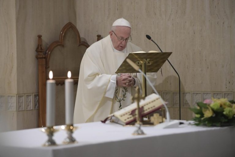 “la Palabra De Dios No Es Ideología Es La Vida La Que La Hace Crecer