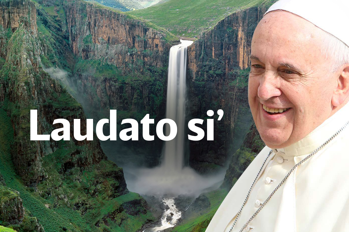 Papa Francisco invita a participar en la Semana Laudato si' del 16 al 24 de  mayo - Papa Francisco