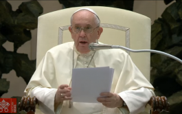 Esta mañana en el Aula Pablo VI, durante la Audiencia General, el Papa Francisco ha continuado su catequesis sobre la…