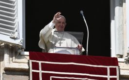24/01/2022 – Antes del rezo del Ángelus del 23 de enero, Domingo de la Palabra de Dios, el Papa Francisco solicitó…