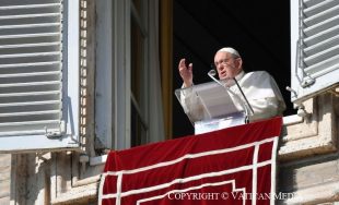 01/01/2025 – (Fuente: Vatican News) En el primer día del año, dedicado a la paz, el pensamiento del Pontífice en el Ángelus es para todas las madres y, en particular, para aquellas…