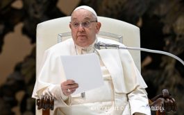 15/01/2025 – (Fuente: Vatican News) En la Audiencia General, el Pontífice volvió a hablar de los millones de niños que…