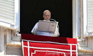 30/06/2025 - El papa León XIV presidió la misa en la solemnidad de los santos apóstoles Pedro y Pablo en el Altar de la Confesión de la basílica vaticana, donde presentó a…