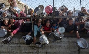 01/06/2025 - (Fuente Vatican News) En su Mensaje a los participantes en el 44º período de sesiones de la Conferencia de la FAO, León XIV estigmatiza el hecho de que tanta gente…