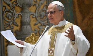 02/07/2025 - "Semillas de paz y esperanza", se titula el Mensaje del Santo Padre León XIV para la X Jornada Mundial de Oración por el Cuidado de la Creación, que la Iglesia…