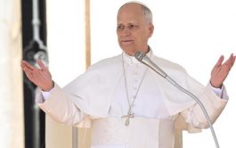 12/11/2025 - En la Audiencia General de este miércoles 12 de noviembre, el Papa León XIV hizo…