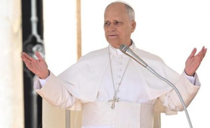 12/11/2025 - En la Audiencia General de este miércoles 12 de noviembre, el Papa León XIV hizo un llamado a la defensa de la paz, aprovechando el encuentro con los peregrinos para…