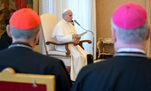 26/11/2025 - El Papa León XIV recibió en audiencia a la Comisión Teológica Internacional en el Vaticano, un encuentro enmarcado en la sesión plenaria anual del organismo. Según informó Vatican News, el…