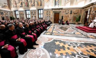 21/11/2025 - El Papa León XIV exhortó a los participantes del Curso Internacional promovido por el Tribunal de la Rota Romana a considerar las interrelacionadas dimensiones jurídica, eclesiológica y pastoral en los…