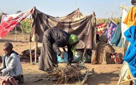 03/11/2025 - Tras el rezo del Ángelus, el Papa León XIV expresó su profundo pesar y preocupación por los conflictos…