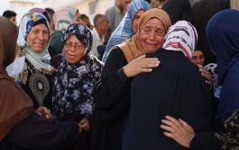10/11/2025 - Tras la oración mariana del Ángelus en la Plaza de San Pedro, este domingo 9 de noviembre, el…