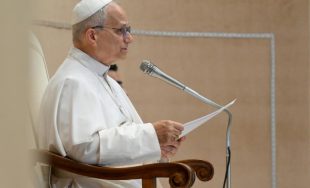 12/12/2025 - El Papa León XIV recibió en audiencia en el Vaticano a los directivos y funcionarios del Sistema de Información para la Seguridad de la República de Italia, una cita enmarcada…