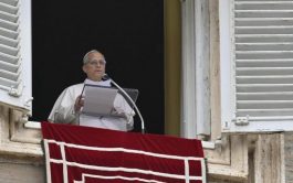19/01/2026 - Al término del Ángelus de este domingo 18 de enero, el Papa León XIV dirigió su atención a&hellip;