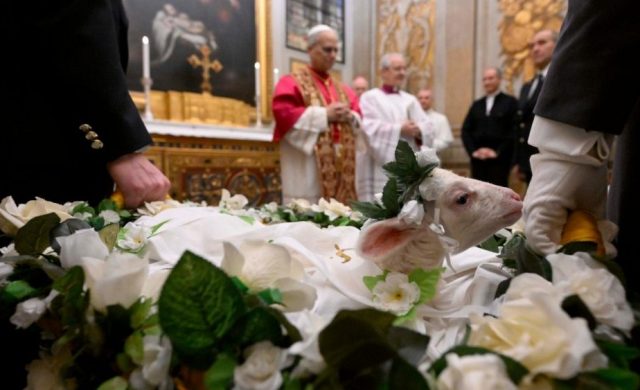 21/01/2026 - Esta mañana, en la Capilla de Urbano VIII, se llevó a cabo la tradicional presentación de los dos corderos al Papa León XIV, cuya lana se destinará a la confección de los palios. Este acto coincide con la memoria litúrgica de Santa Inés mártir, y precede a la bendición de los animales en la basílica homónima de la&hellip;