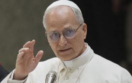 12/01/2026 - Tras el rezo del Ángelus este domingo 11 de enero, el Papa León XIV manifestó su profunda preocupación&hellip;