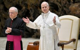 04/02/2026 - En una nueva audiencia general celebrada hoy en el Aula Pablo VI, el Papa León XIV profundizó en&hellip;