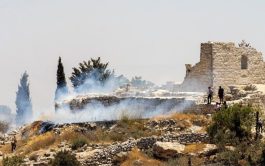 20/03/2026 – El cardenal prefecto del Dicasterio para las Iglesias Orientales habla del sentido que adquiere la Colecta pro Terra&hellip;