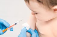 28/11/2018 – Casi un tercio de los niños no fue vacunado. Infectólogos atribuyen los resultados insuficientes a la falta de provisión oportuna de los…