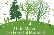 20/03/2019 – Cada 21 de marzo está dedicado a destacar la importancia de los recursos forestales, que contribuyen al desarrollo de todas las…
