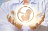 12/04/2019 – La información fría dice que investigadores, pacientes de técnicas de reproducción asistida y diputados nacionales de diferentes bloques participaron, la semana…