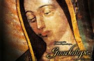 El 12 de diciembre celebramos el día de Maria bajo la advocación de La Virgen de Guadalupe, patrona de toda América Latina. Para…