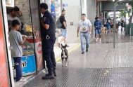 Un niño de 10 años fue echado de un local de comidas rápidas de la localidad de Merlo, provincia de Buenos Aires, al…