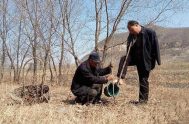 Haixia y Wenqi, son amigos que decidieron plantar árboles para proteger su aldea, Yeli,  de las inundaciones.   Haixia nació ciego de un…