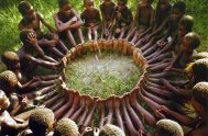 Un antropólogo propuso un juego a los niños de una tribu Africana. Puso una canasta llena de frutas cerca de un árbol y…