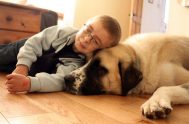 Owen tiene 7 años y sufre una enfermedad neuromuscular muy poco frecuente: el síndrome de Schwartz-Jampel. Afecta a los músculos, que no puede…