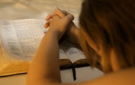 (Dt 30, 9-14Lc 10, 25-37) Hoy se nos habla de la Palabra y de los puntos de…