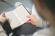 Enseñame… y yo meditaré tus maravillas (Sal 118, 27; Juan 6,22-29) A veces no sabemos por qué te buscamos, por qué te seguimos. ¿Es la inercia?Hoy es lunes, Hay…