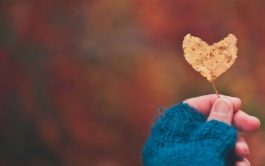 «Allí donde esté tu tesoro, estará también tu corazón» (Mt 6, 21). ¿Habla aquí Jesús de propiedades…