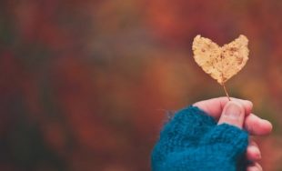 «Allí donde esté tu tesoro, estará también tu corazón» (Mt 6, 21). ¿Habla aquí Jesús de propiedades…